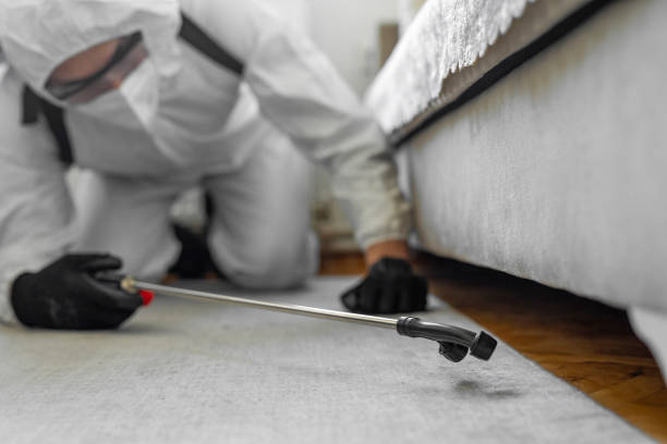 Professional Bed Bug Control technician working in Burlington County County, NJ